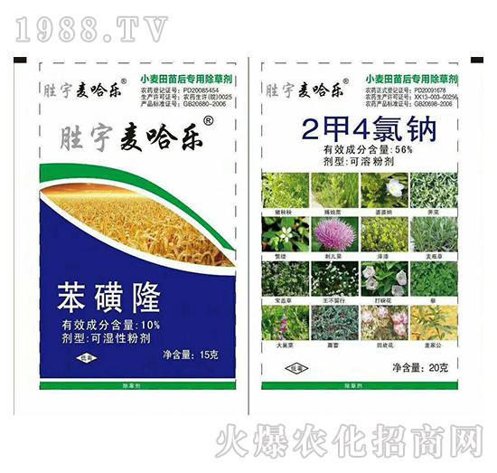 ������(l��)�M��-�K�ƻ���