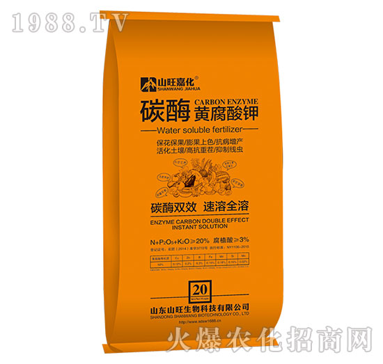 ̼ø�S�����-ɽ������