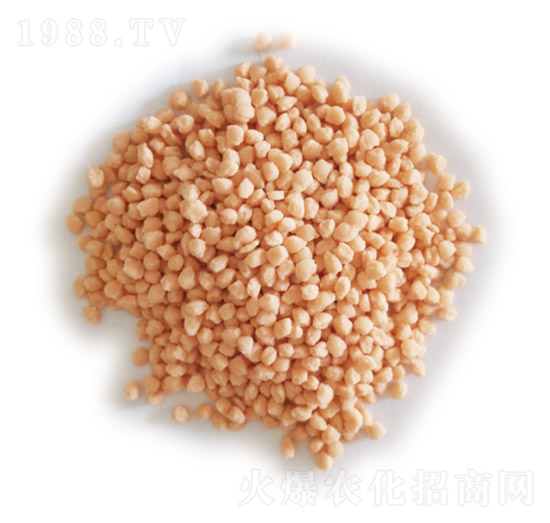 �Ȼ��@-¡ʢ-ʩ�׵�