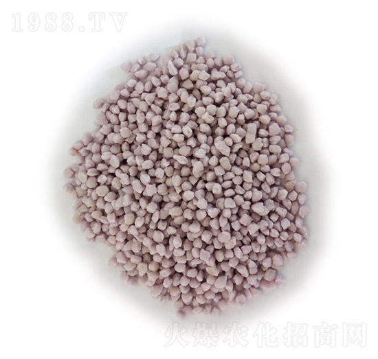 �w���Ȼ��@-¡ʢ-ʩ�׵�