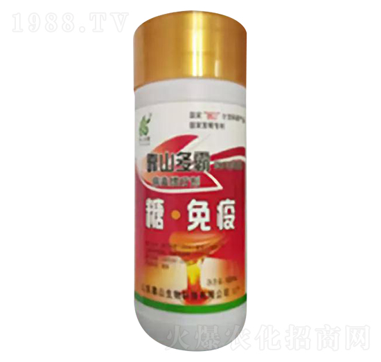 �ǡ�����-��ɽ����