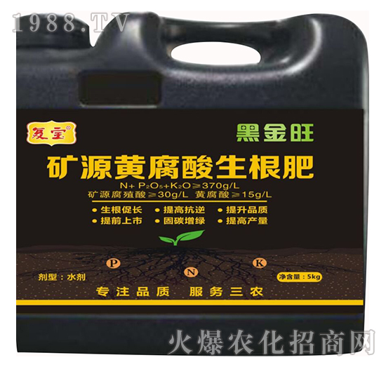 �VԴ�S����������-�͌�����