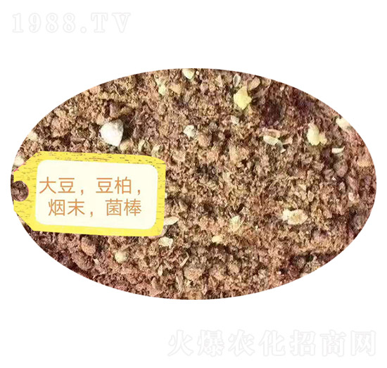 �󶹡���������ĩ��������-�Z�M�}