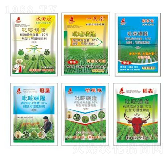 10%���׻��������M��������-ϲ�S��