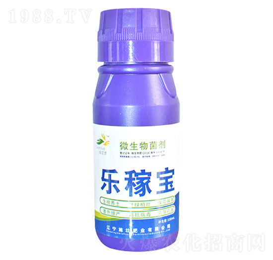 ΢�������-���ڌ�-ʩ�ѷʘI(y��)