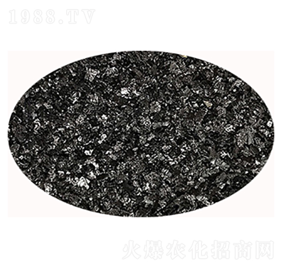 �S����⛾��wƬ-ʥ��һ��