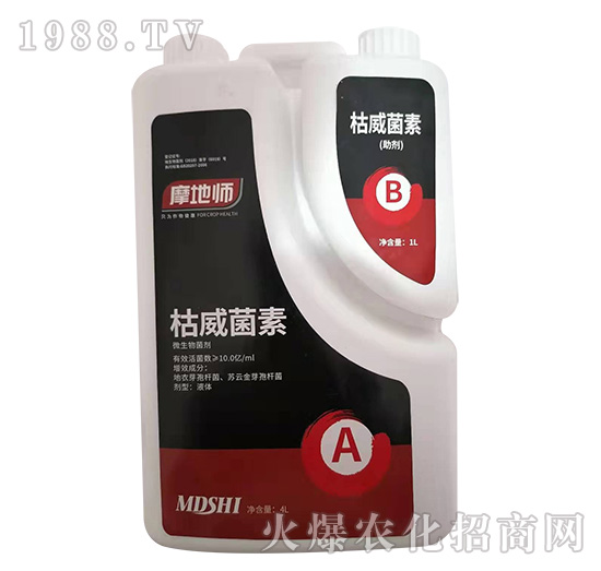 ΢�������-��������-�������r