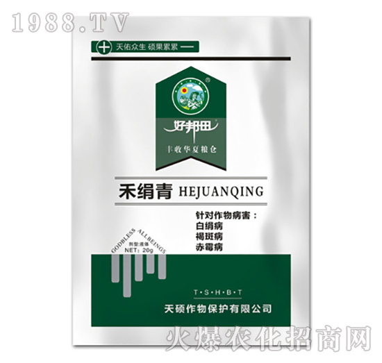 �̽���-��T����