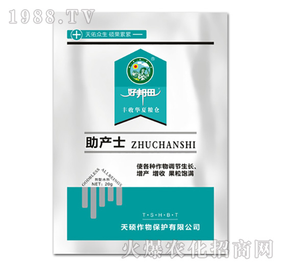 ���a(ch��n)ʿ-��T����