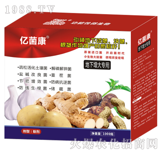 ��������(zhu��n)��-�|����R-ʢ����