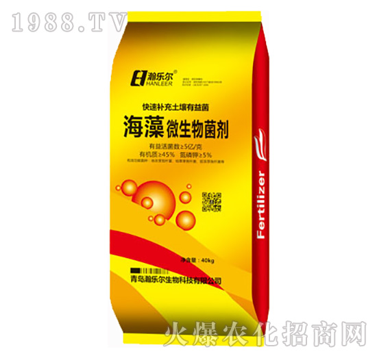 ����΢�������-嫘���