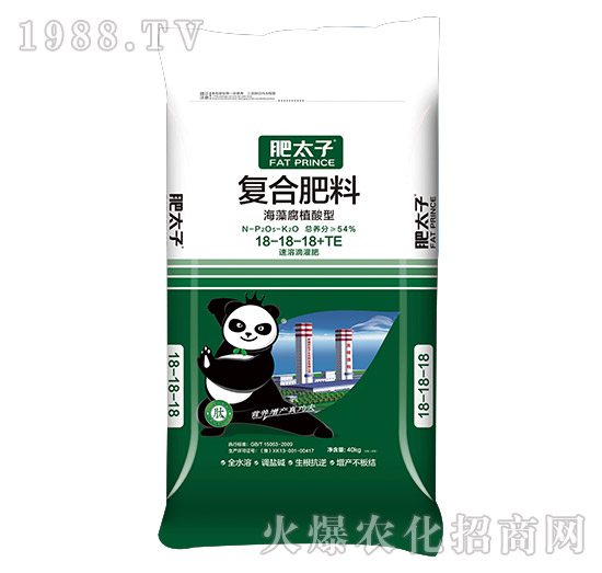 ���帯ֳ���͏ͺϷ���18-18-18+TE-��̫��