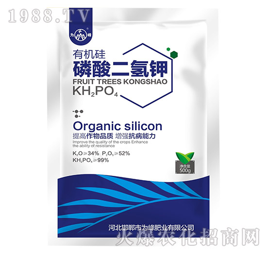 500g�ЙC(j��)����������-���