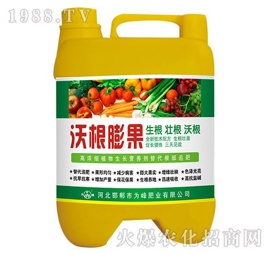 �ָ����-���