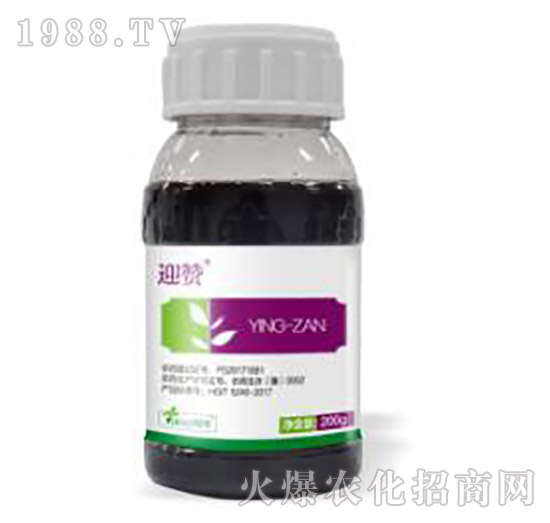 20%���ݿ�-ӭٝ-�˹����