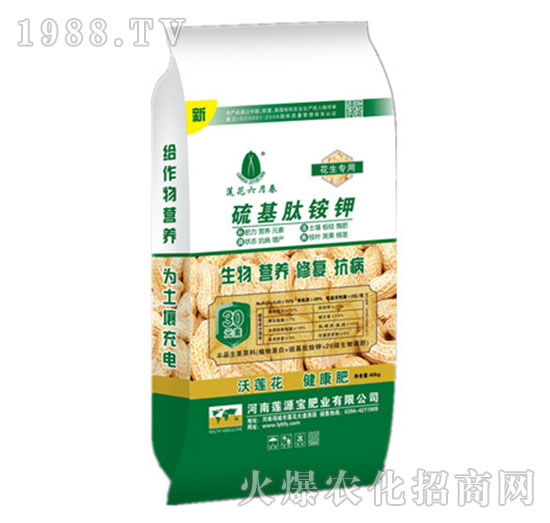 ������(zhu��n)�÷���-������@�-ɏԴ��