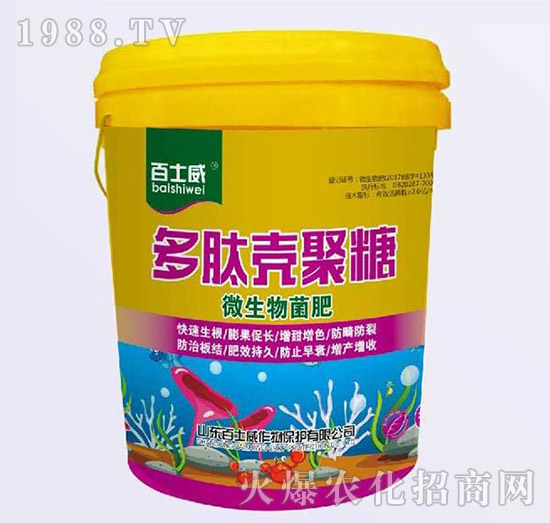 ���Ě�����-΢�������-��ʿ��