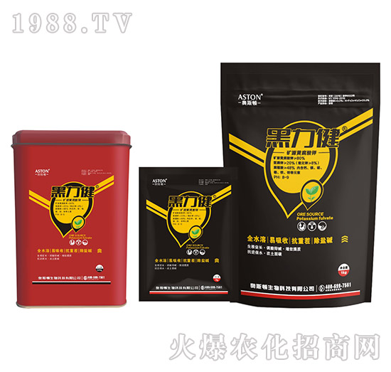 �VԴ�S�����-������-�W˹�D