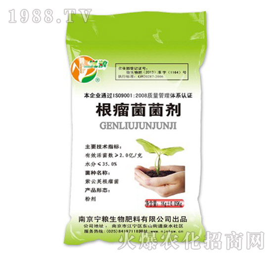 ����������-���Z����