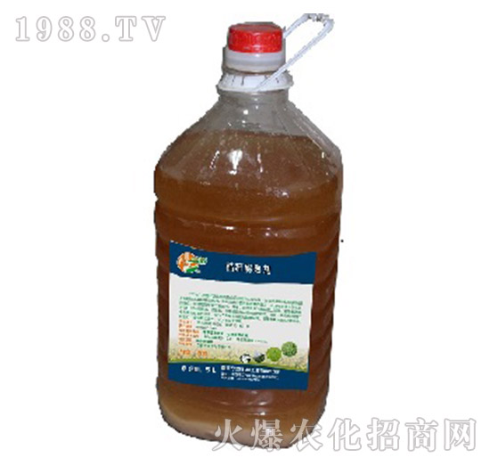 �ն����섩��5L��-���Z����