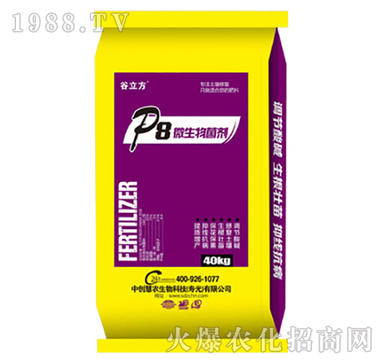 P8΢���������-������-�Є�(chu��ng)���r