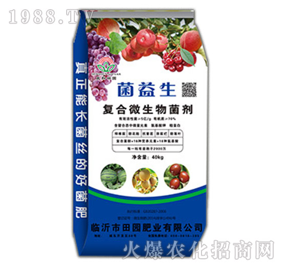 ��(f��)��΢�������-������-��@�ʘI(y��)