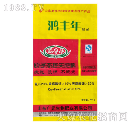 ԭ�ӑB(t��i)��ʧ����-���S��-�VԪ����