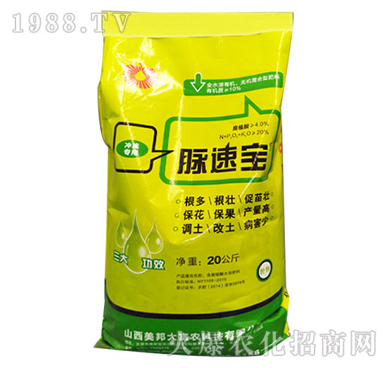 �}�ٌ�-����Ƽ�