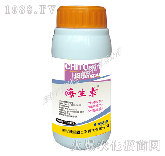 �������~���-�ŵ�