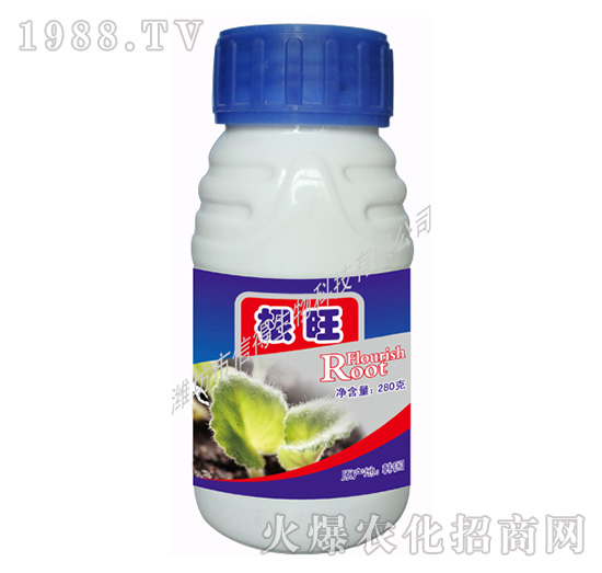 ����-�ŵ�