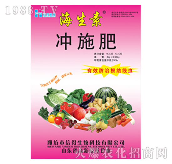 �����؛_ʩ��-�ŵ�