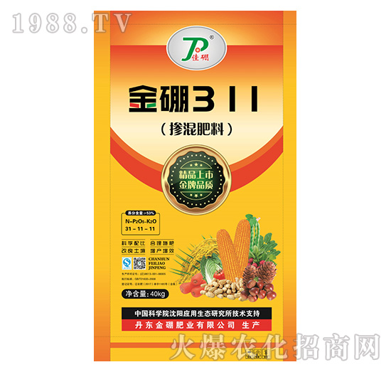 �������31-11-11-����311-����