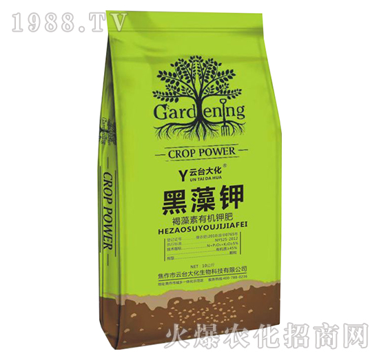 �������ЙC(j��)⛷�-�����-���_(t��i)��