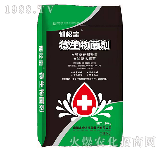 ΢�������-���Ɍ�-�������