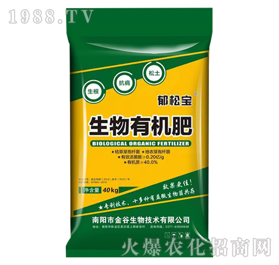 �����ЙC(j��)��-���Ɍ�-�������