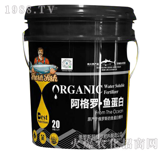 �����_���~����-���㺣