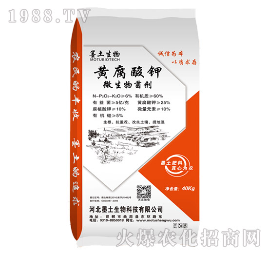 �S�����΢�������-ī��