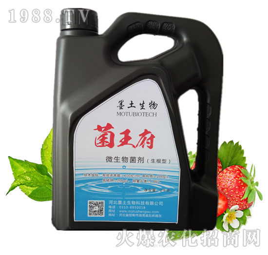 ������΢����������أ�-ī��