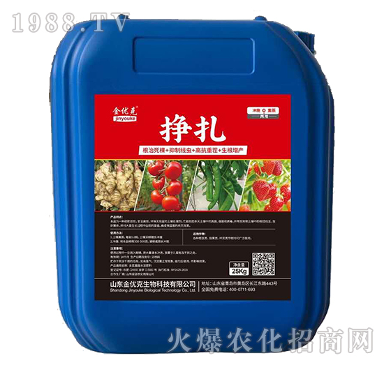 ����-����(y��u)��