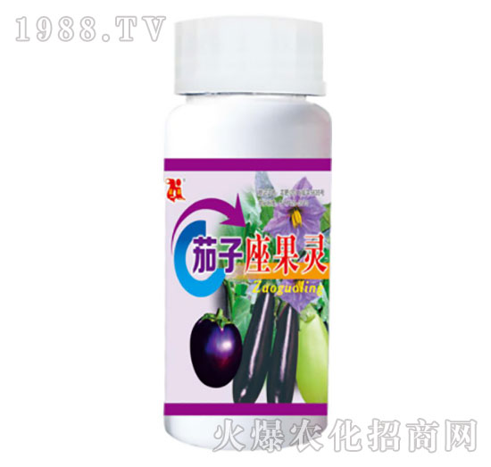 ���������`-��������