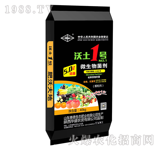 ΢����������w������-����1̖-�Aʢ�r(n��ng)�Y