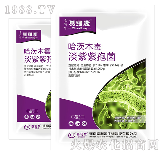 ���ġ��������߾�-�漚��-̩����