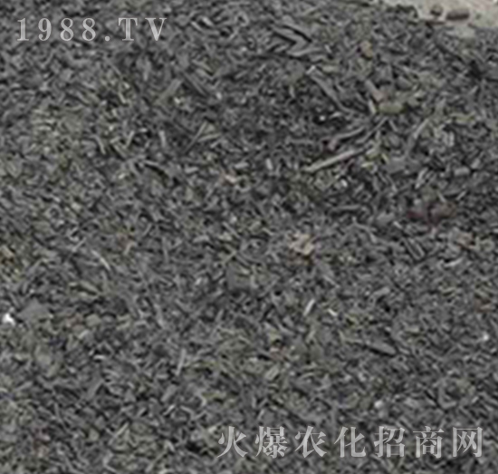 �ն�̿-��(r��n)�f(w��n)���r(n��ng)�I(y��)