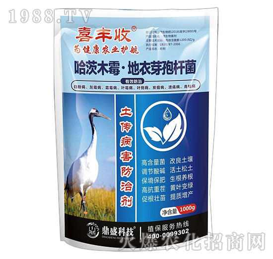 ����ľù��������ѿ�ߗU��-ϲ�S��-����ʢ�r