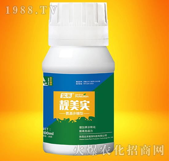 �n����(sh��)-��(sh��)��