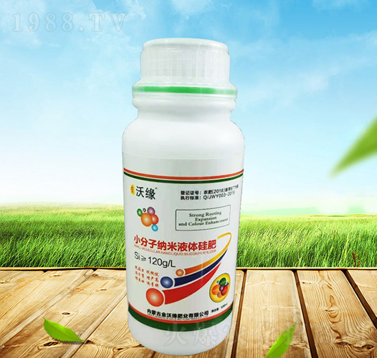 С���Ӽ{��Һ�w���-���־�