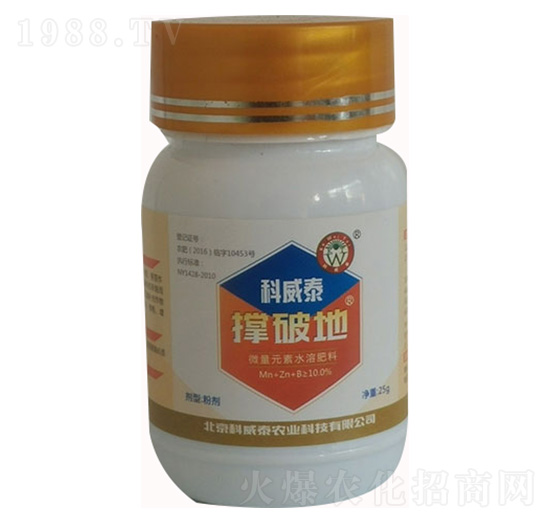 ���Ƶ�-����̩