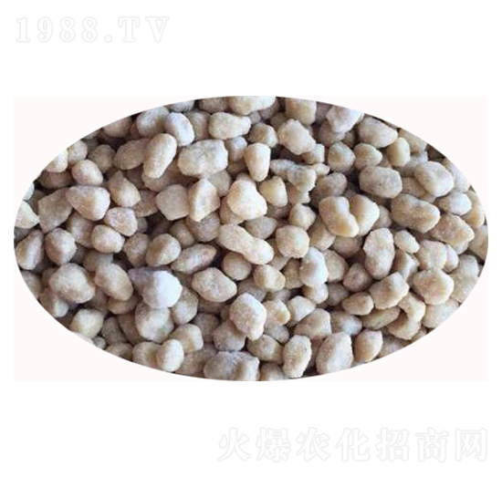 ���@�w���S��-���S����