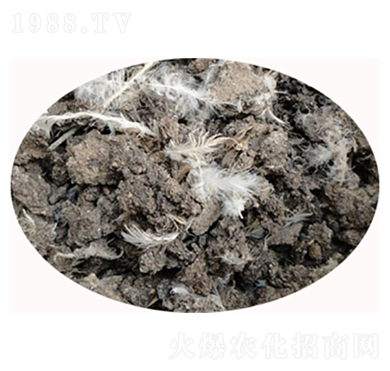 ʯ���f�u�S�ЙC��-���S����