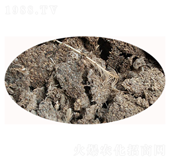 �ӱ����u�S-���S����